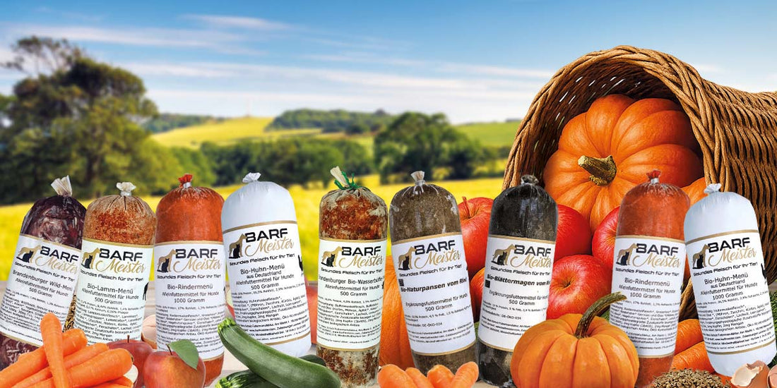 bio_barf_hundefutter