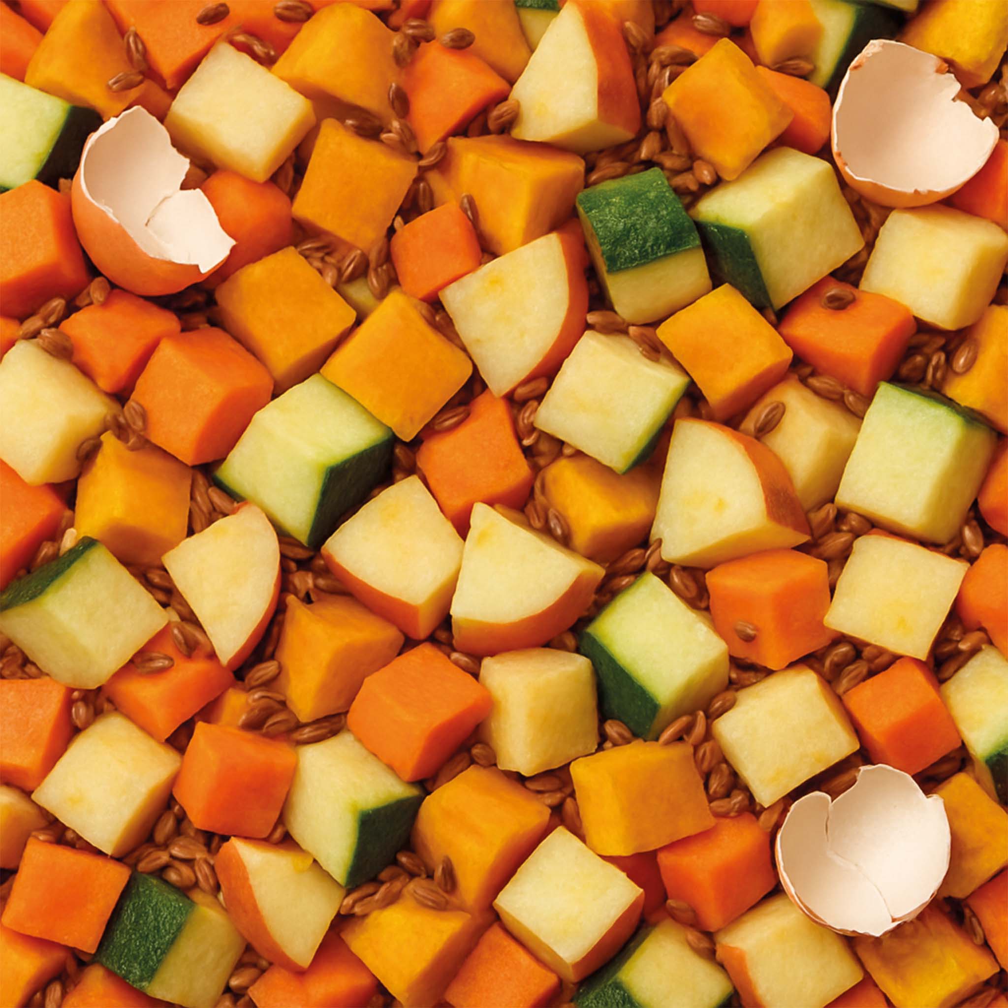 Barf Wild Komplettmenü 1000g