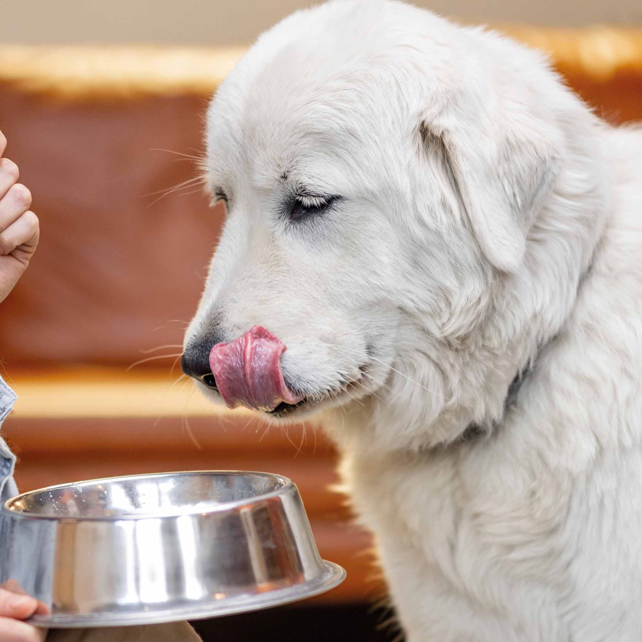 BIO Barf Rind Komplettmenü 1000g